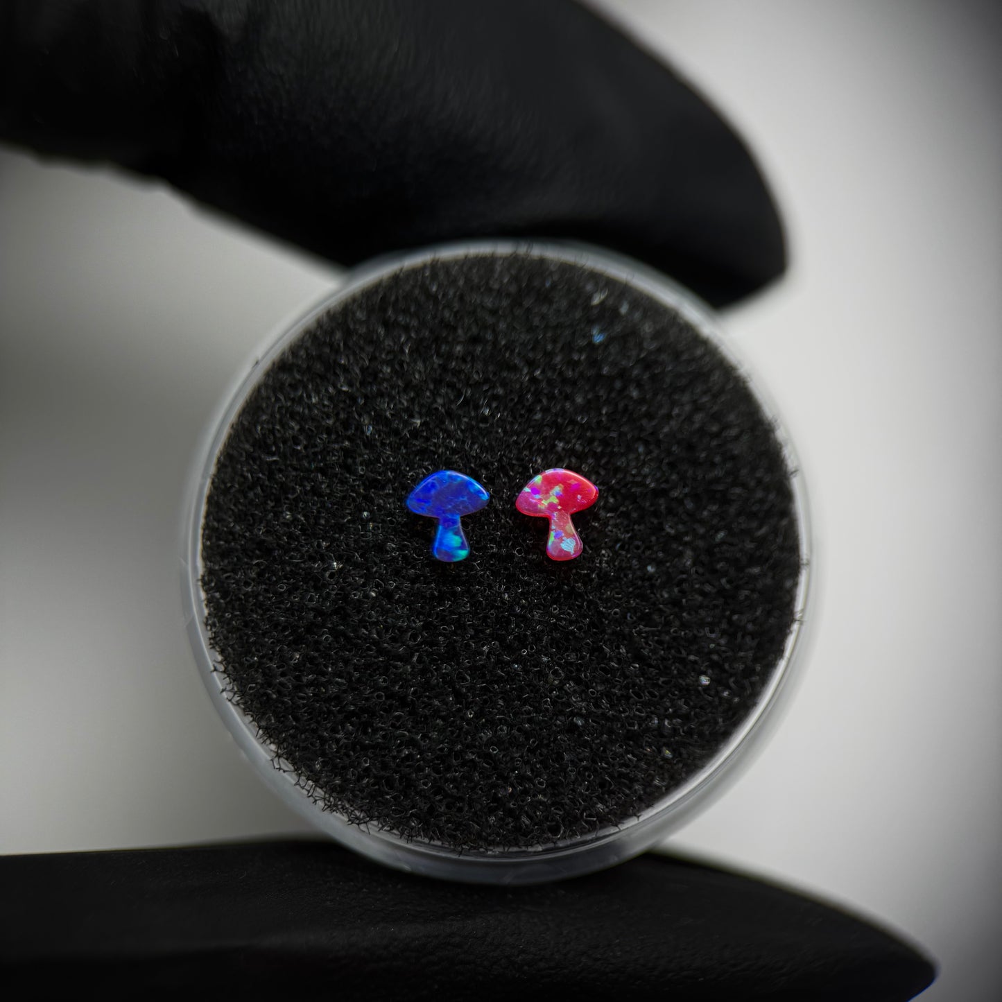 Gema dental de ópalo en forma de Seta