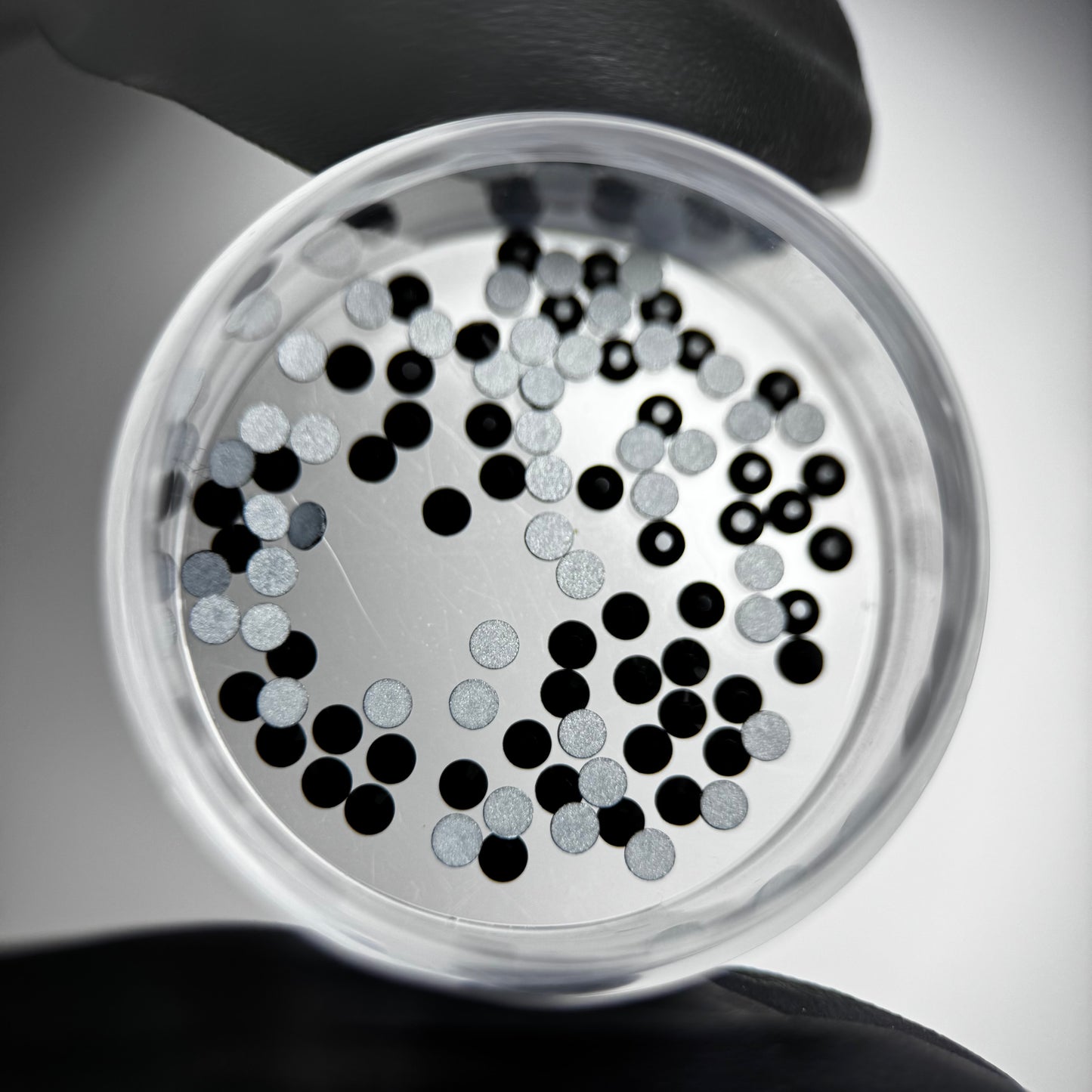 Gemas dentales PRECIOSA® redondos - Jet