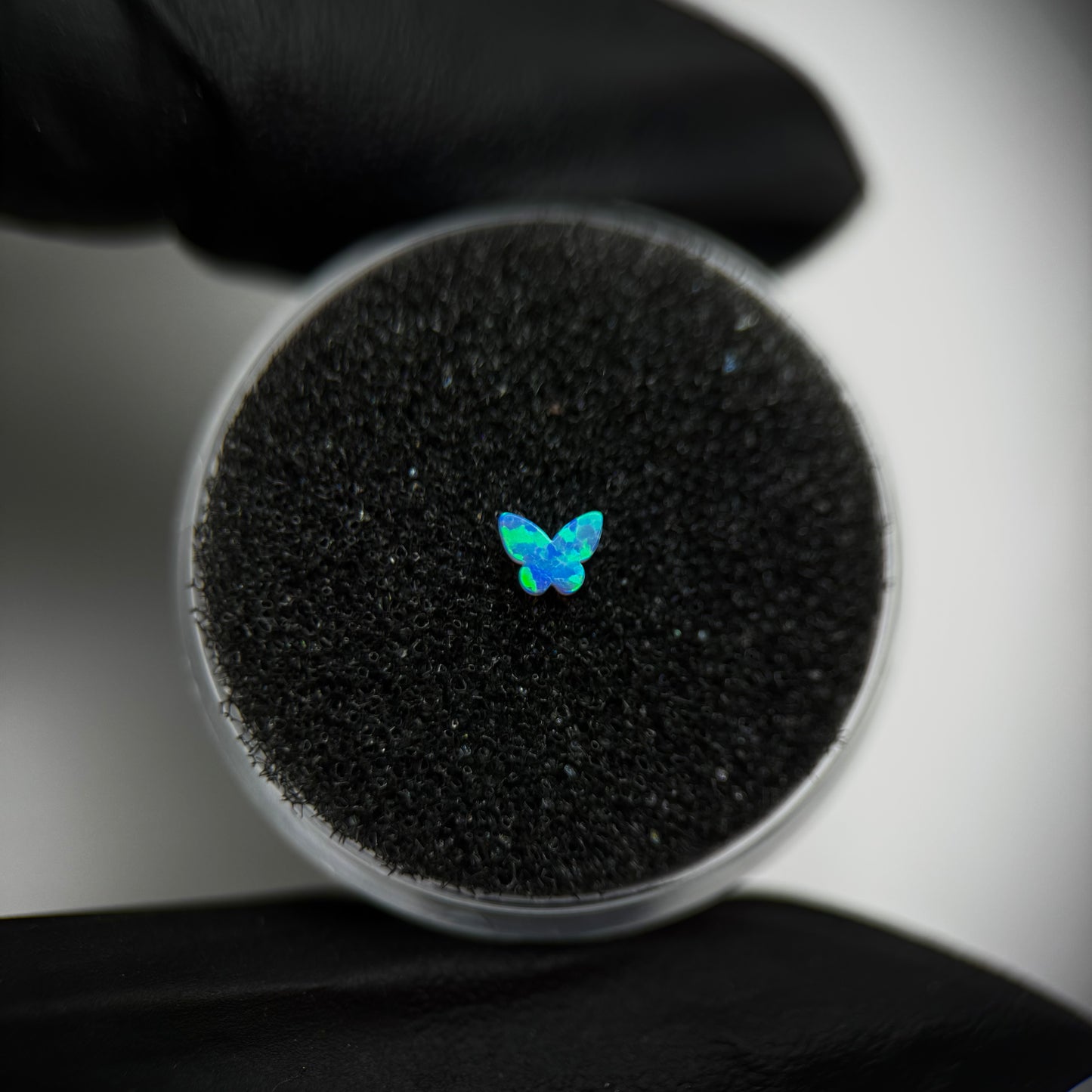 Gema dental de ópalo en forma de Mariposa pequeña