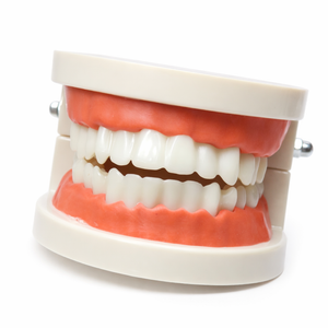 Dentadura de práctica