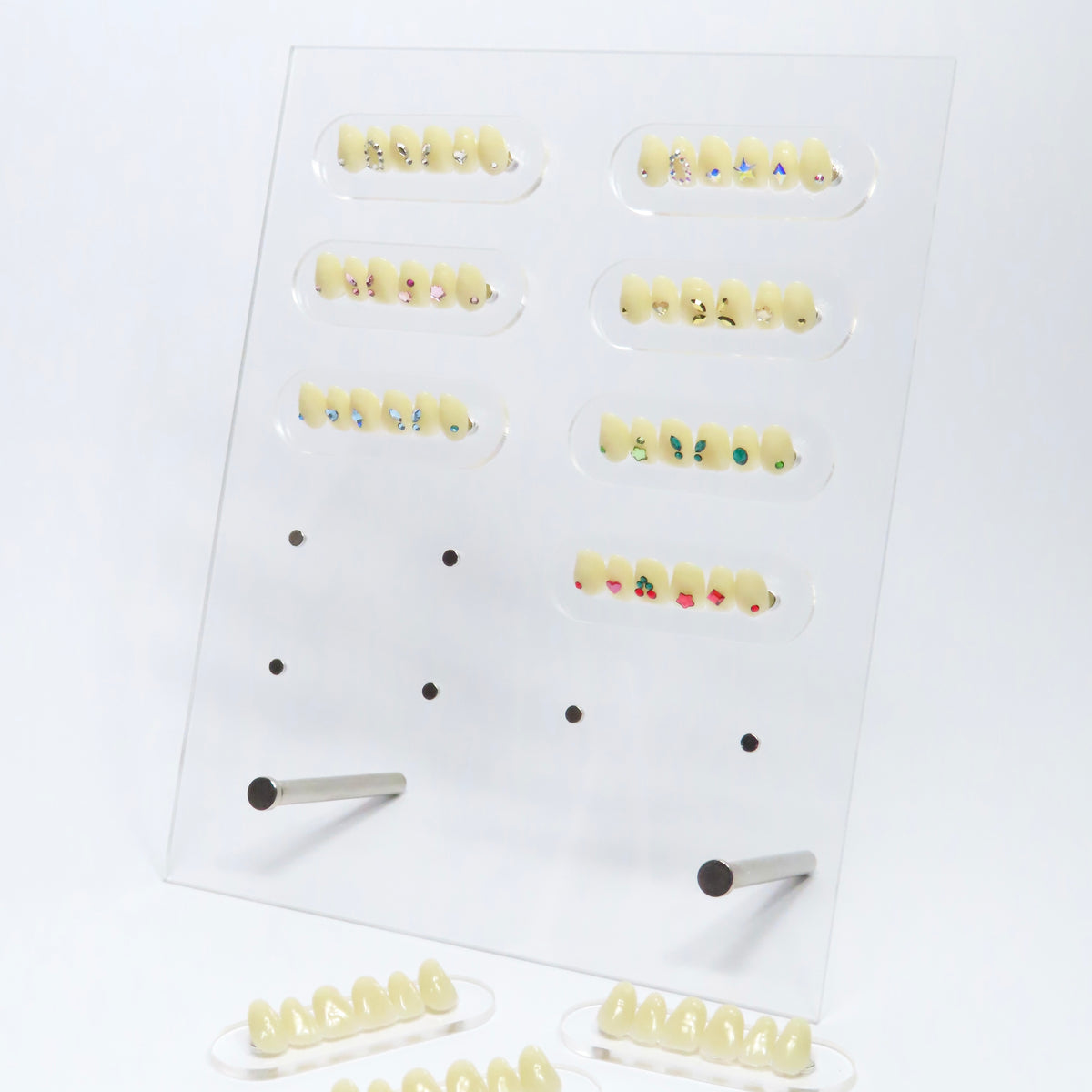 Expositor Pro 3D Tooth Display
