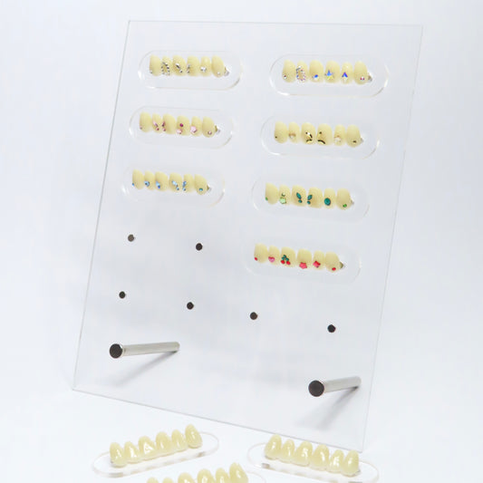 Expositor Pro 3D Tooth Display