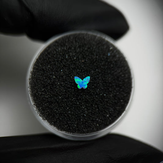 Gema dental de ópalo en forma de Mariposa pequeña