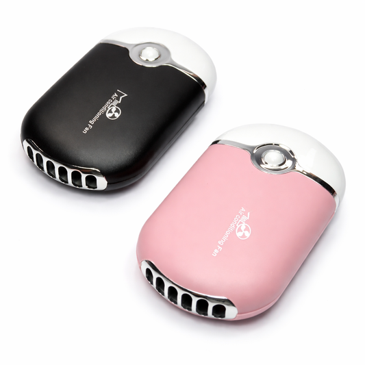 Portable electric fan